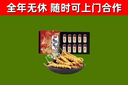 济宁市回收冬虫夏草价格