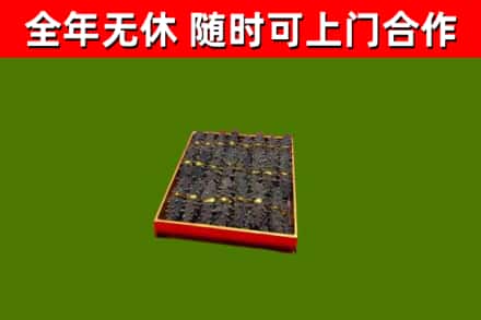 济宁市回收海参